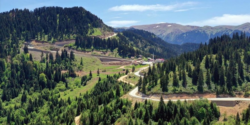 Karadeniz'de yaylaya göç başladı