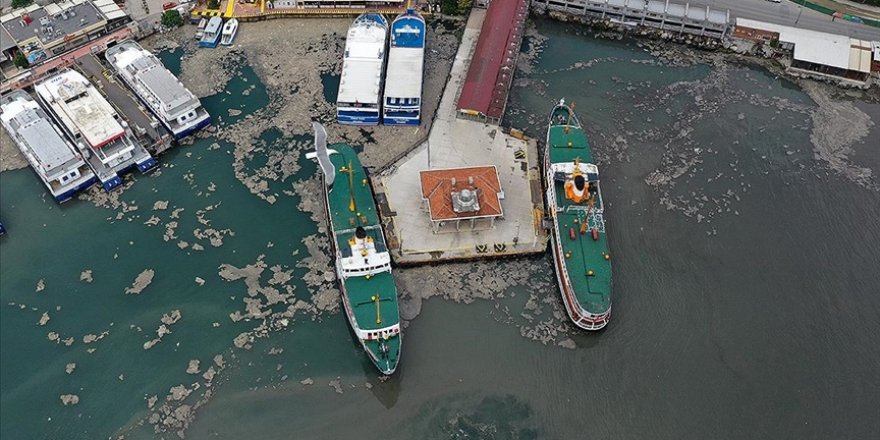Deniz salyası Anadolu Yakası'nda bazı bölgelerde görülmeye devam ediyor