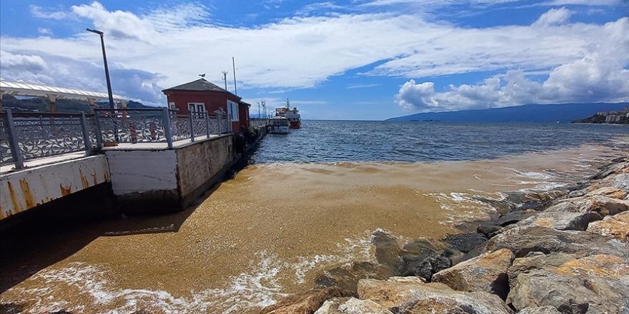 Gemlik Körfezi'nde deniz salyası kıyı bölgelerde yoğunlaştı