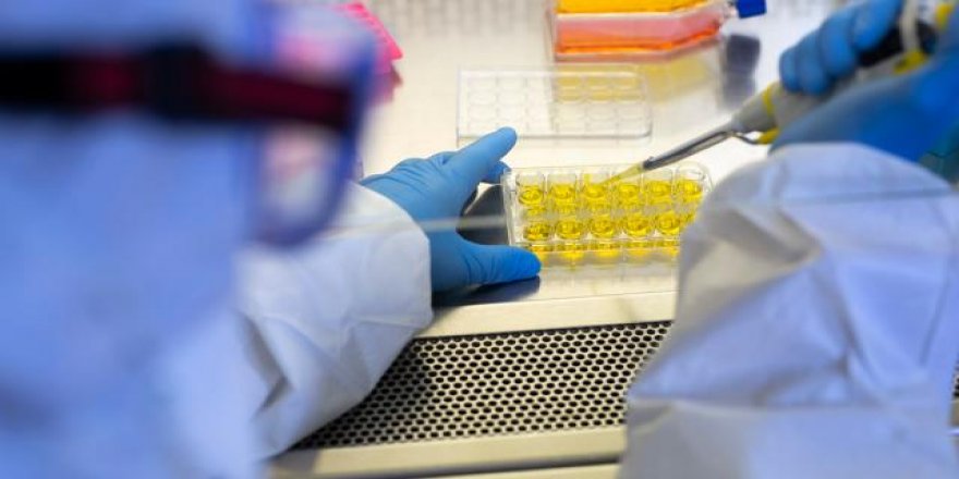 Kanser tedavisinde umutlandıran keşif