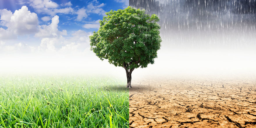 ​Çevre Bakanı Kurum: Allah dünyayı en güzel surette yarattı fakat insanoğlu dengeyi bozdu