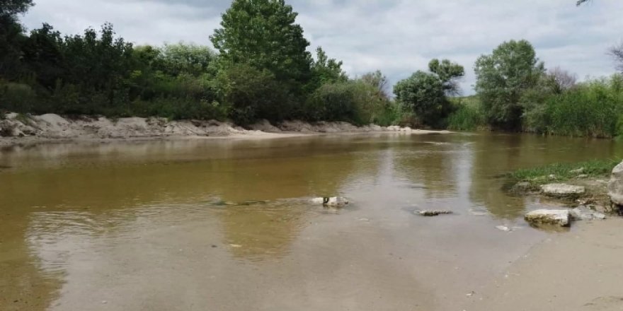 'Yatağında zehirlenen' Ergene Nehri yıllardır can çekişiyor
