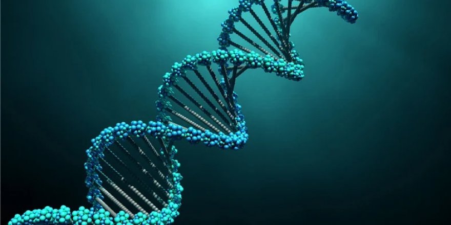 Gen tedavisi ile lösemi hastaları iyileşti