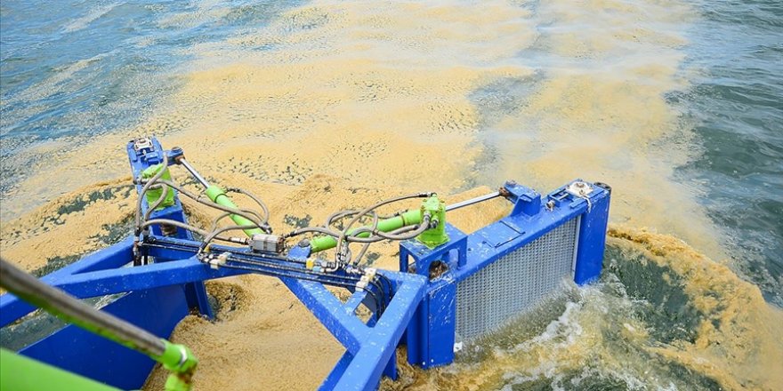 Marmara Denizi'ndeki müsilajın ekonomiye kazandırılması için saha çalışması başladı
