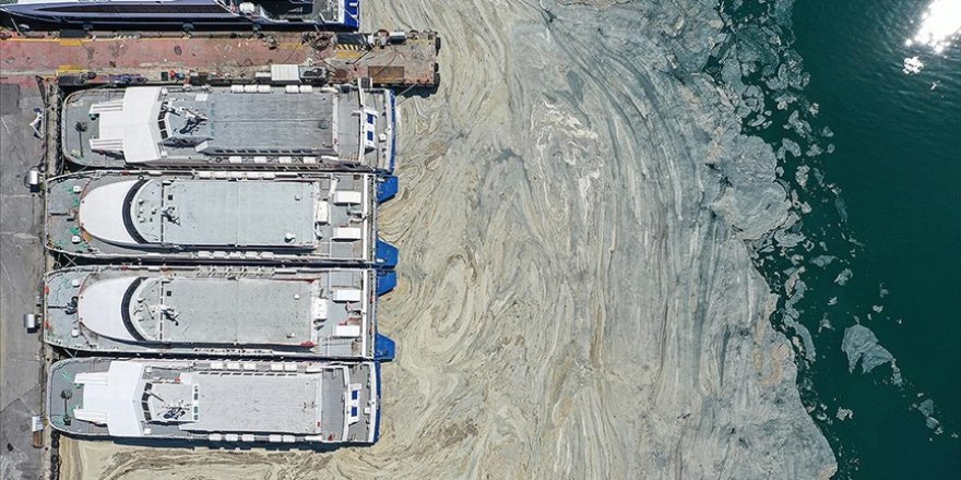 Marmara Denizi'ndeki müsilaj sorunu için laboratuvarda 'reaktif oksijen' çalışması deneniyor