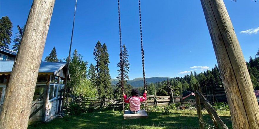 Düzce'de doğaseverlerin yeni adresi yaylalar oldu