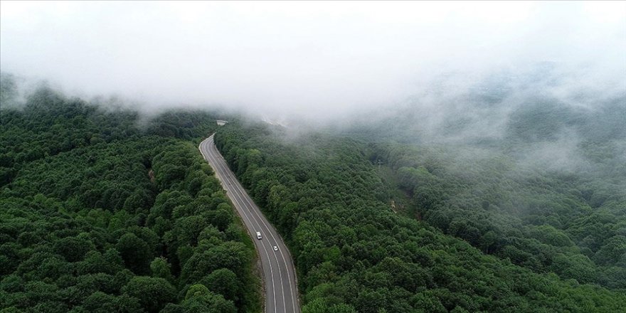 Istranca ormanlarını saran sisin etkileyici güzelliği ilgi gördü