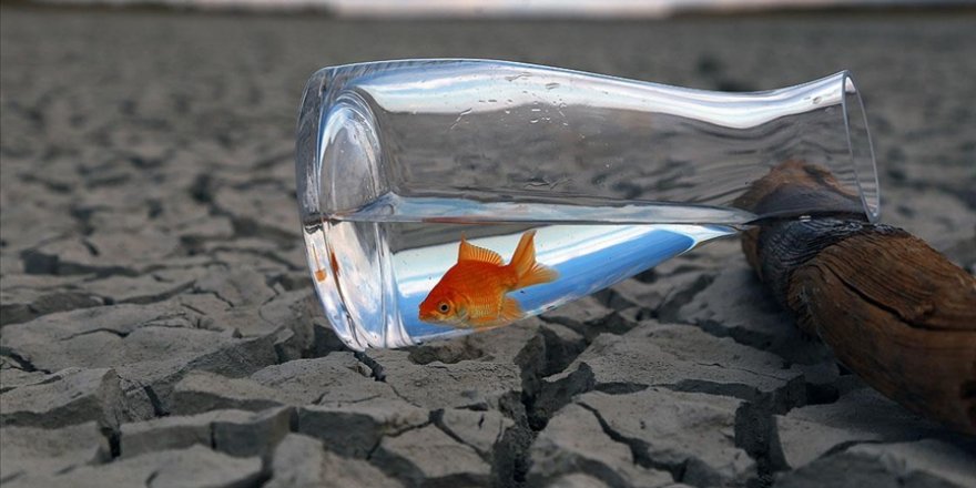 ABD'nin batı yakasında tarihi kuraklık oranları yaz için tehlike sinyali veriyor