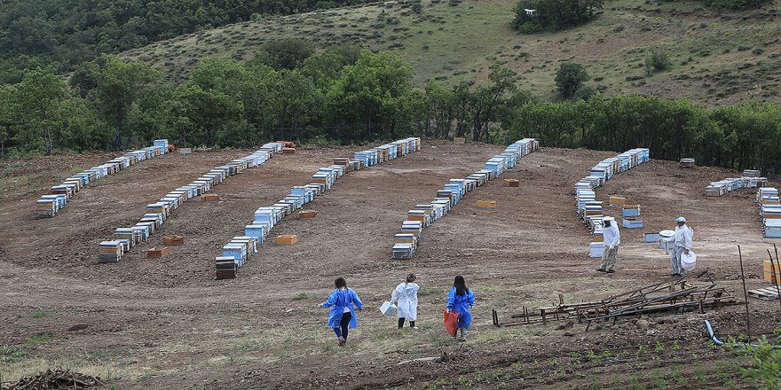 Bup Dağı'nı aşan sağlık ekipleri 1700 rakımdaki Kartal Yaylası'nda arıcıları aşıladı