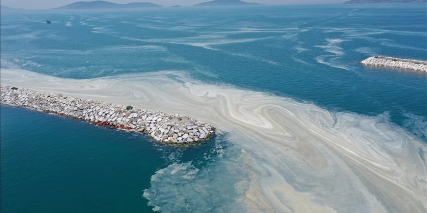 Nöroloji uzmanından müsilaj uyarısı: Felç riski var