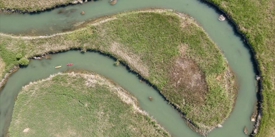 İç Anadolu'nun batısında gizli kalmış bir kuş cenneti: Balıkdamı