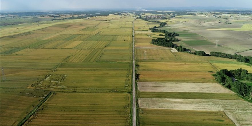 Ürün çeşitliliği bereketli Trakya topraklarını renklendiriyor