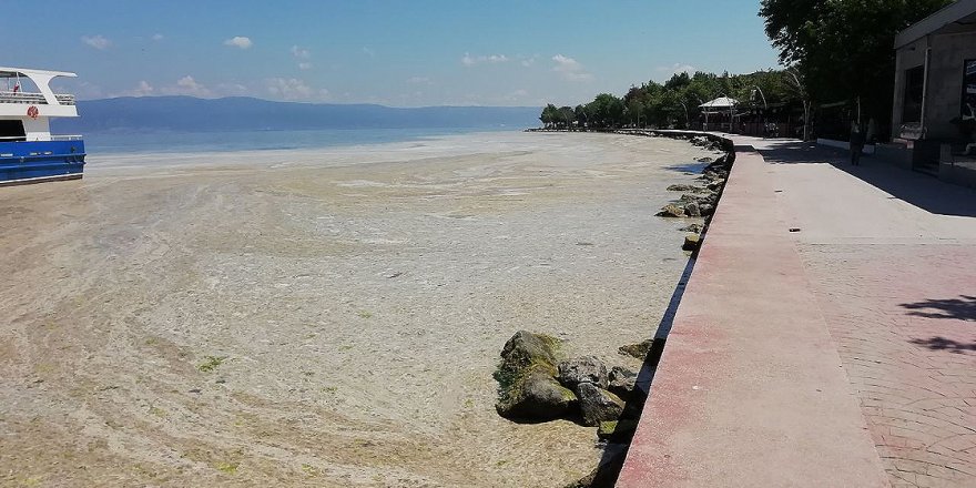 İzmit Körfezi'nde müsilaj etkisini sürdürüyor