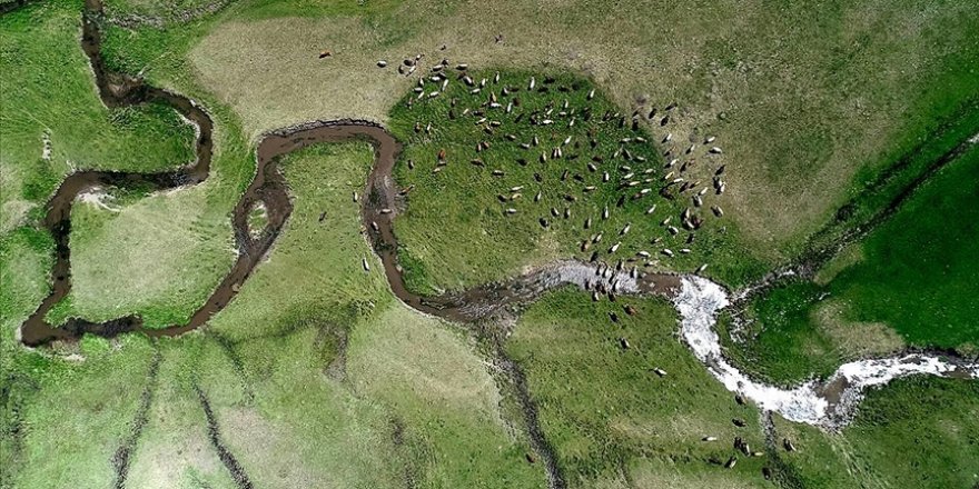 Erzurum'da kar sularının oluşturduğu menderesler etkiliyor