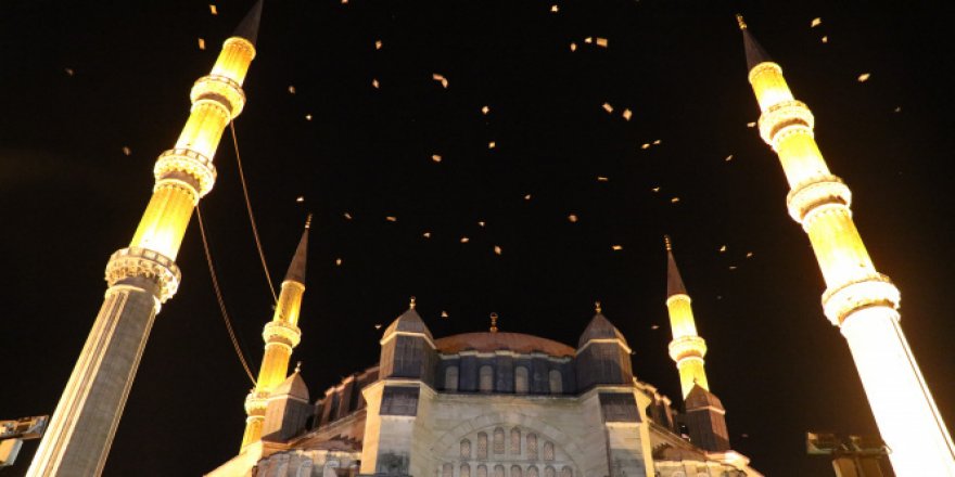 'Selimiye Camii' üzerinde martıların görsel şöleni