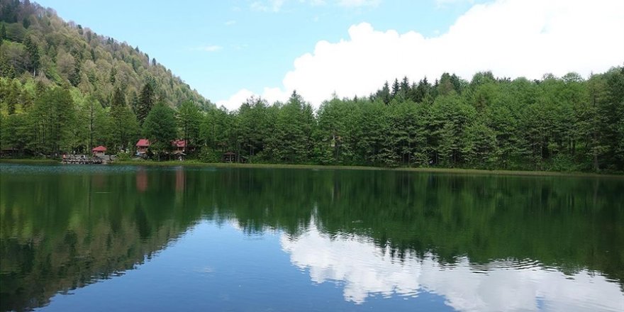 'Saklı cennet' Artvin eşsiz doğasıyla ziyaretçilerini bekliyor