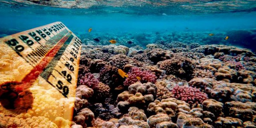 Araştırmaya göre, metan yiyen mikroplar sıcaklığı dengeliyor