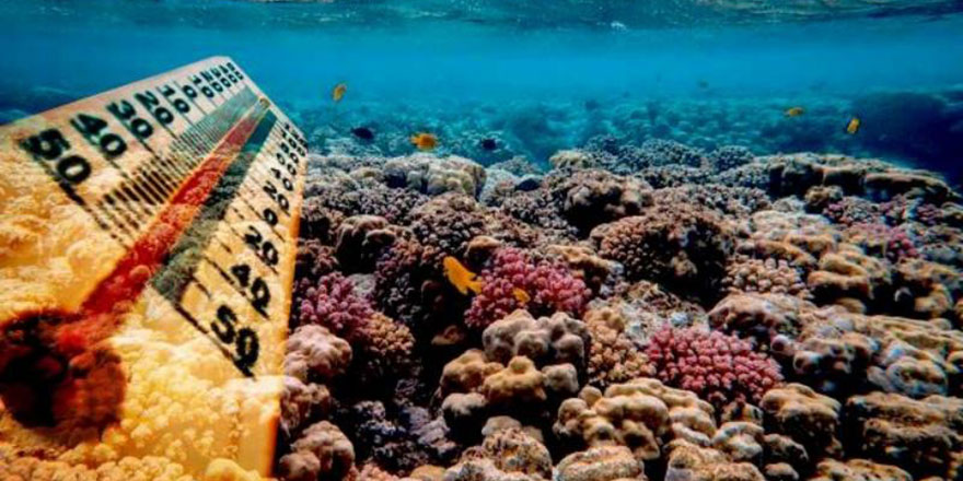 Okyanuslarda yaratılan metan yiyen mikroplar sıcaklığı dengeliyor