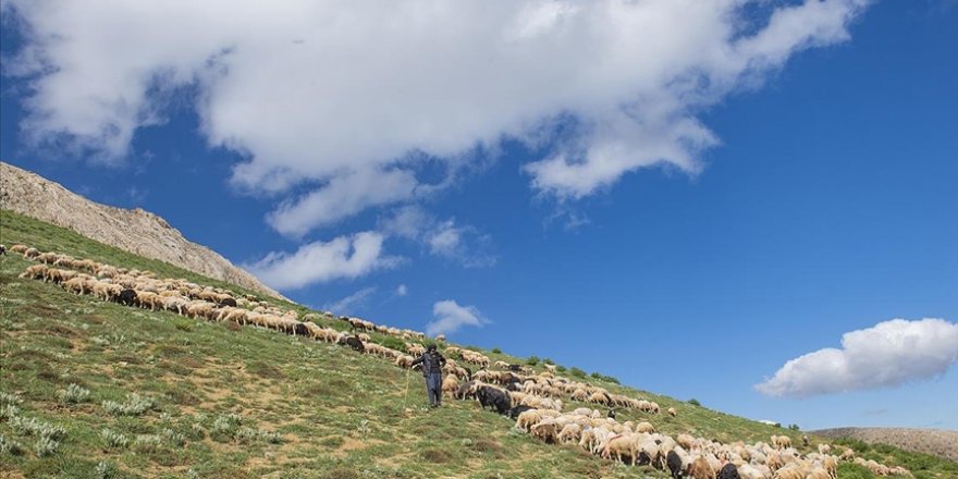 Huzura kavuşan Tunceli'nin doğal güzellikleri göz kamaştırıyor