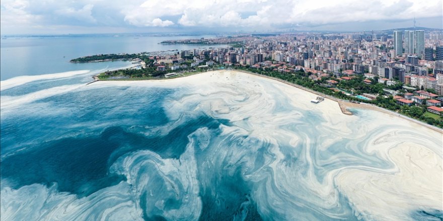 Musilaj raporu: Deterjanların içeriği değişsin