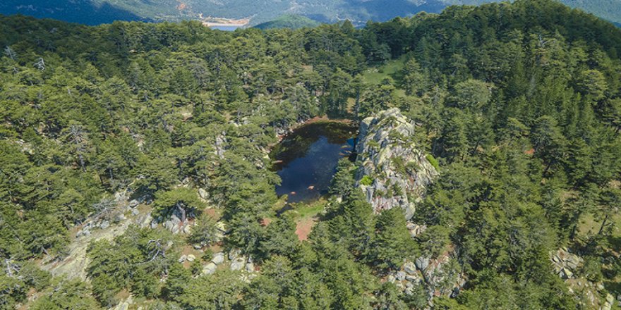 Kütahya'daki Eğrigöz Dağı'nın zirvesindeki doğal gölet keşfedilmeyi bekliyor