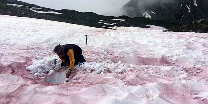 Alp Dağlarına 'kırmızı kar' yağdırıldı