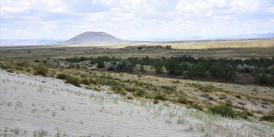 Dünyada ilk örnek: Yeşeren çöl Karapınar