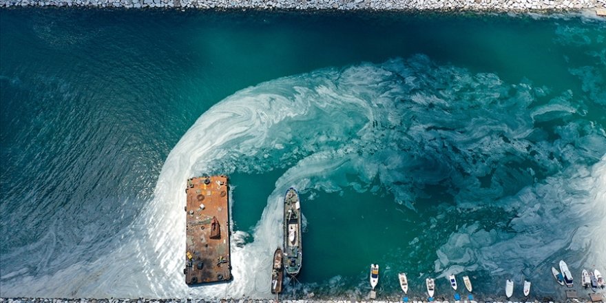 Gemiler müsilajı temiz sulara taşıyabilir