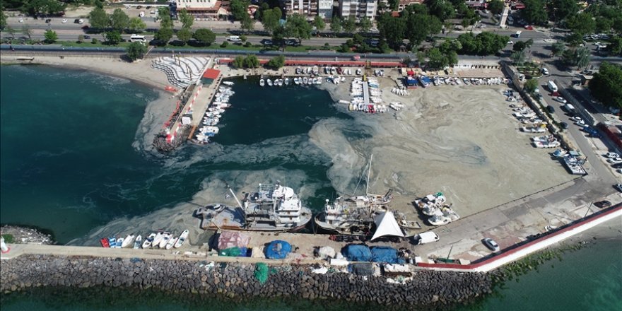 Tekirdağ'da lodos nedeniyle kıyılara müsilaj geri geldi