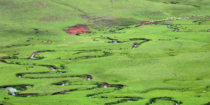 Perşembe Yaylası'nın güzelliği
