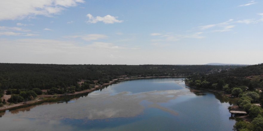 Haziran yağmurları Musaözü Göleti'ni canlandırdı