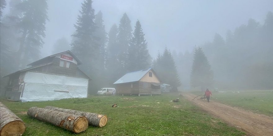 Batı Karadeniz yaylaları kademeli normalleşme süreciyle şenlendi