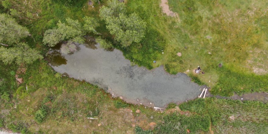 Dünyada tekti, ikizi çıktı