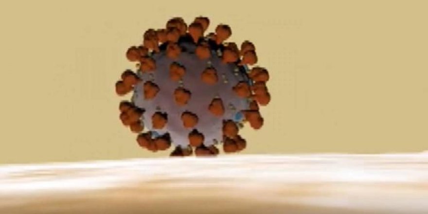 Delta varyantına karşı en etkili silah, iki doz aşı ve bireysel korunma