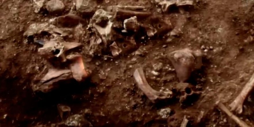 Yeni bir insan türü keşfedildi