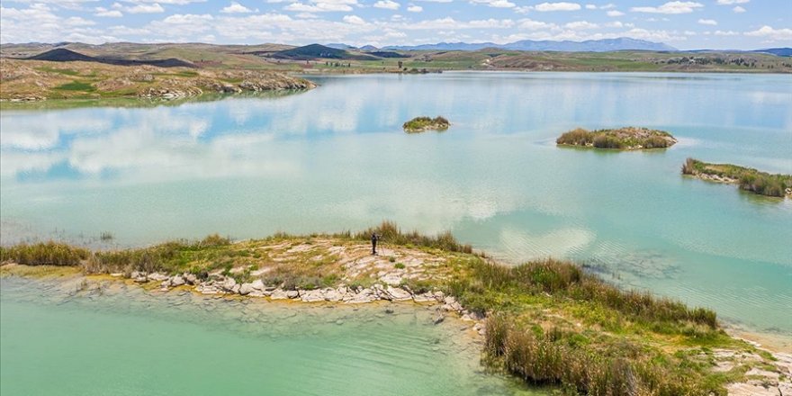6 ildeki bazı bölgeler 'kesin korunacak hassas alan' ilan edildi