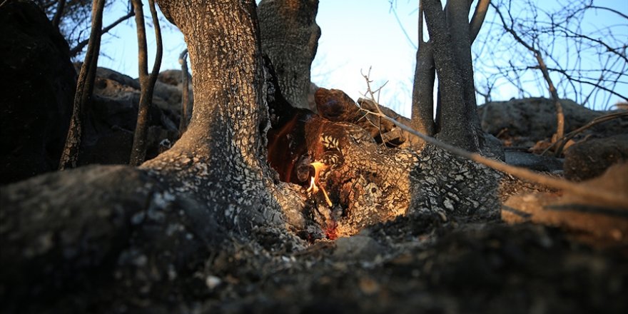 Antalya'nın Kaş ilçesinde çıkan orman yangınları kontrol altına alındı
