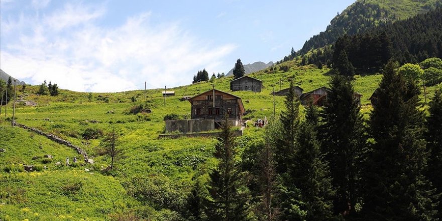 Karadeniz'in yeni gözdesi Elevit Yaylası ziyaretçilerine adeta nefes oluyor