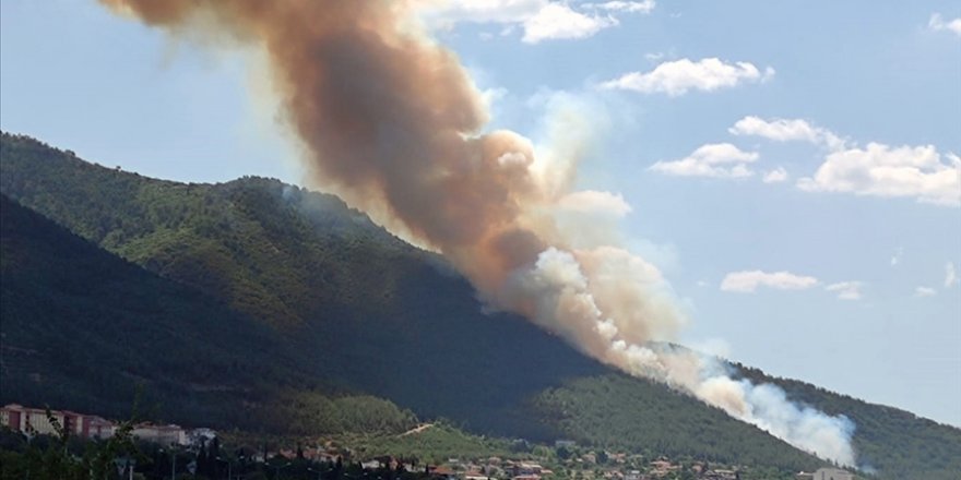Mersin ve Muğla'da çıkan orman yangınlarına müdahale ediliyor
