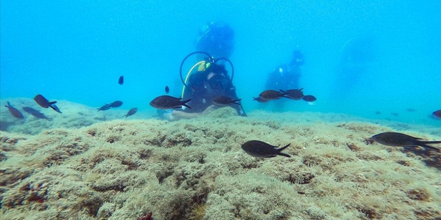 Doğu Akdeniz su altı zenginliğiyle dalış tutkunlarını cezbediyor