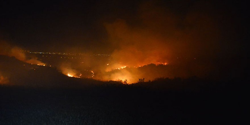 Orman yangınlarına 'yapay zeka' ile anında tespit