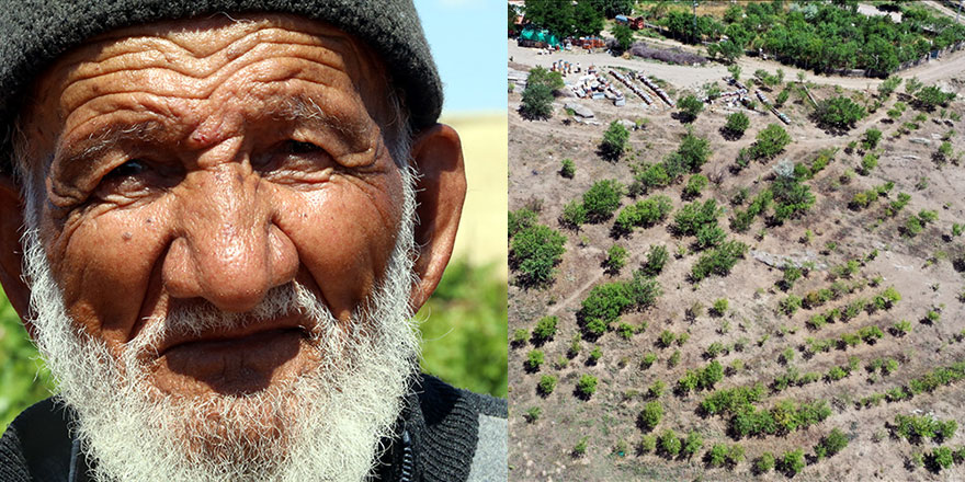 90 yaşındaki Osman Erol, 40 bin fidanı toprakla buluşturdu: Dua etsinler yeter