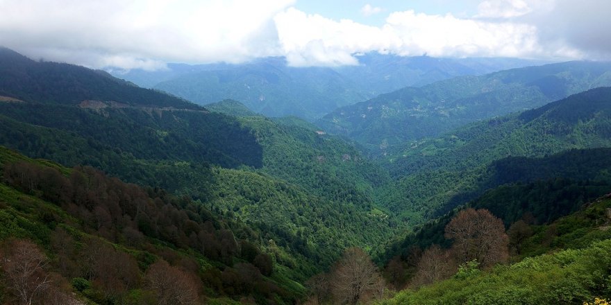 Artvin'in Camili Havzası doğaseverleri bekliyor