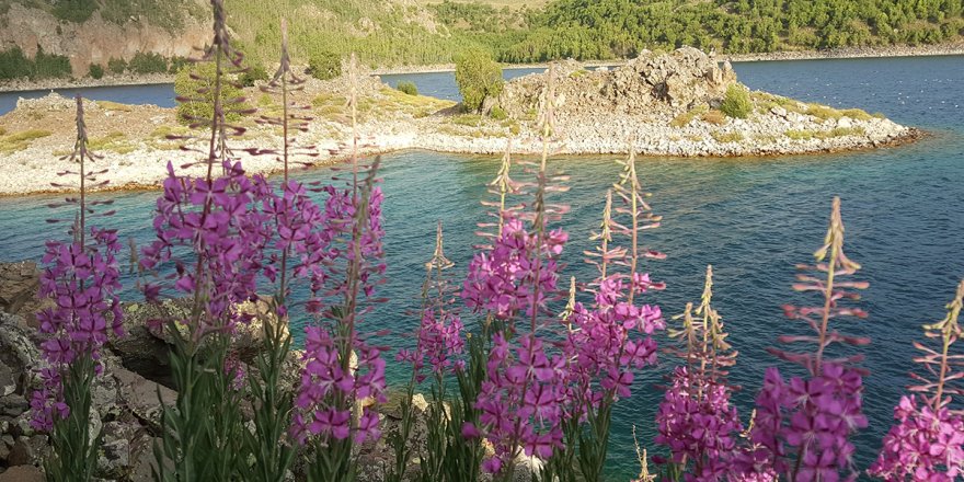 Dünyanın ikinci büyük kraterinde renk cümbüşü