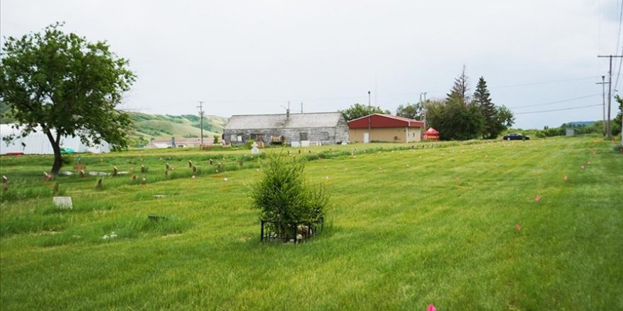 Kanada'daki Kızılderililerin Şefi: Kilisenin tek amacı soyumuzun beynini yıkamaktı