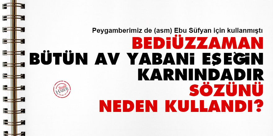 Bediüzzaman, 'Bütün av yabani eşeğin karnındadır' sözünü neden kullandı?