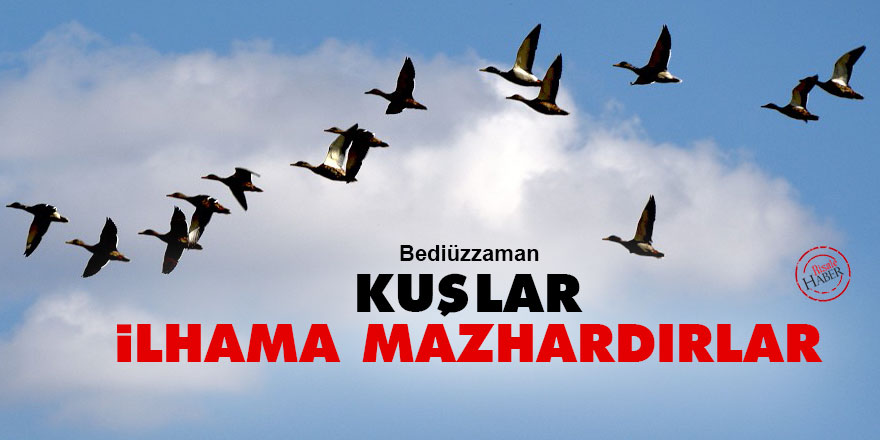 Bediüzzaman: Kuşlar, ilhama mazhardırlar