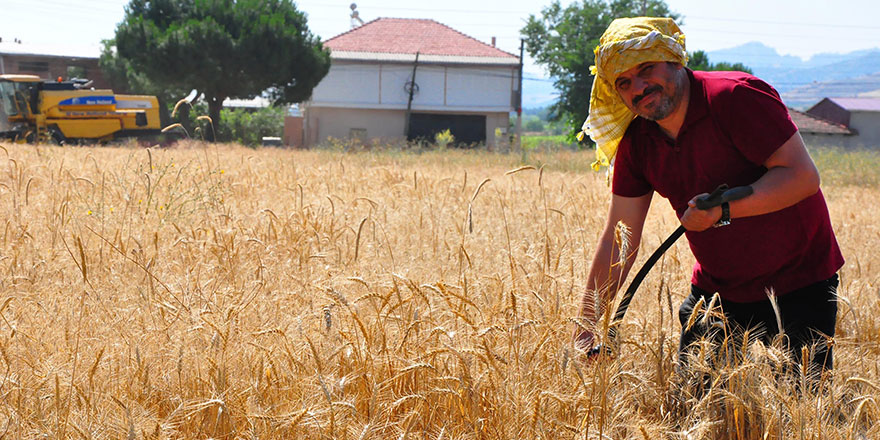 Okul müdürü, okul ve öğrencileri için 8 dönüm tarla ekti