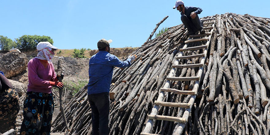 Alın terine kömür karası karışanlar: Mangal kömürü işçileri