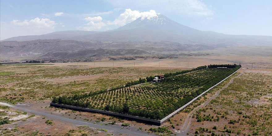 Çorak araziyi vahaya dönüştürdü, Esma-ül Hüsna bahçesi yaptı